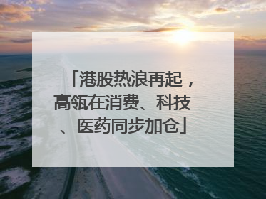 港股热浪再起，高瓴在消费、科技、医药同步加仓