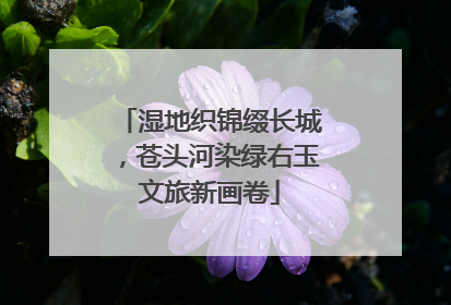 湿地织锦缀长城，苍头河染绿右玉文旅新画卷
