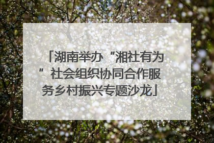 湖南举办“湘社有为”社会组织协同合作服务乡村振兴专题沙龙