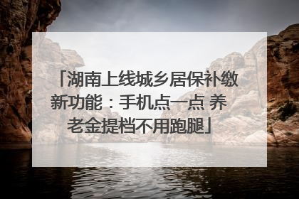 湖南上线城乡居保补缴新功能：手机点一点 养老金提档不用跑腿