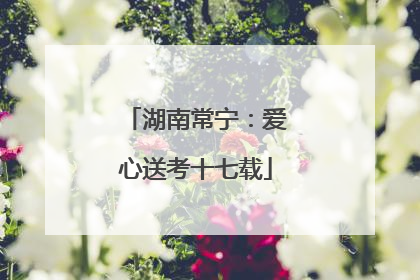 湖南常宁：爱心送考十七载