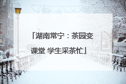 湖南常宁：茶园变课堂 学生采茶忙