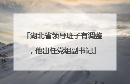湖北省领导班子有调整，他出任党组副书记