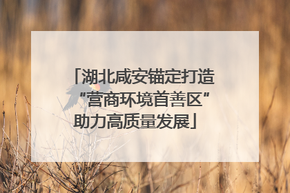 湖北咸安锚定打造“营商环境首善区”助力高质量发展
