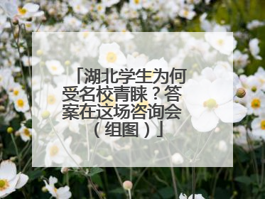 湖北学生为何受名校青睐？答案在这场咨询会（组图）