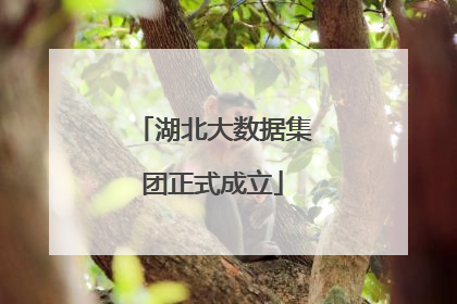 湖北大数据集团正式成立
