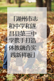 湖州市志和中学和遂昌县第三中学携手打造体教融合实践新样板