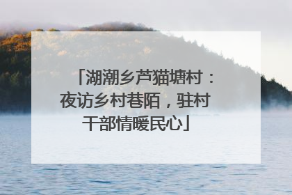 湖潮乡芦猫塘村：夜访乡村巷陌，驻村干部情暖民心
