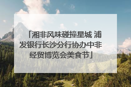 湘非风味碰撞星城 浦发银行长沙分行协办中非经贸博览会美食节