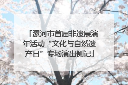 漯河市首届非遗展演年活动“文化与自然遗产日”专场演出侧记