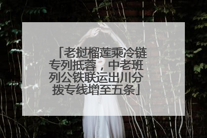 老挝榴莲乘冷链专列抵蓉，中老班列公铁联运出川分拨专线增至五条