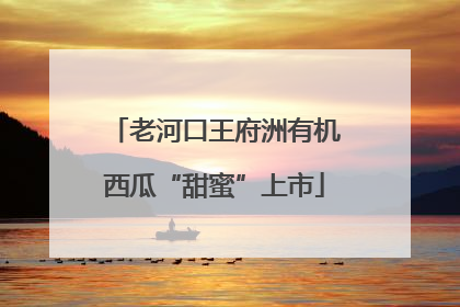 老河口王府洲有机西瓜“甜蜜”上市