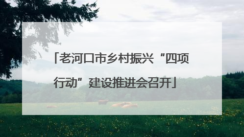 老河口市乡村振兴“四项行动”建设推进会召开
