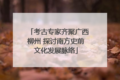考古专家齐聚广西柳州 探讨南方史前文化发展脉络