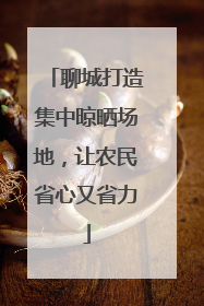 聊城打造集中晾晒场地，让农民省心又省力