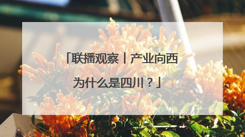 联播观察丨产业向西 为什么是四川？
