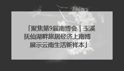 聚焦第9届南博会｜玉溪抚仙湖畔旅居经济上南博 展示云南生活新样本