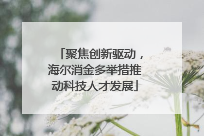 聚焦创新驱动，海尔消金多举措推动科技人才发展