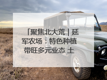 聚焦北大荒｜延军农场：特色种植带旺多元业态 土地焕发新活力