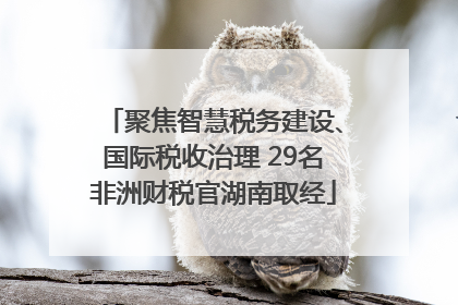 聚焦智慧税务建设、国际税收治理 29名非洲财税官湖南取经