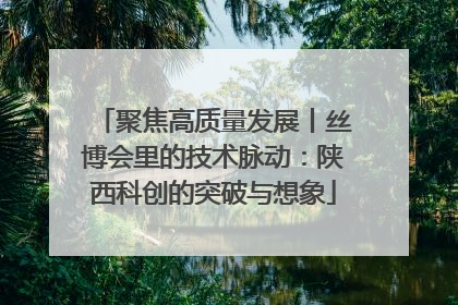 聚焦高质量发展丨丝博会里的技术脉动：陕西科创的突破与想象