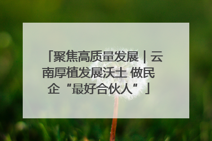 聚焦高质量发展｜云南厚植发展沃土 做民企“最好合伙人”