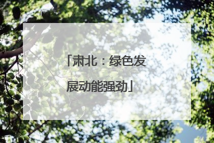 肃北：绿色发展动能强劲