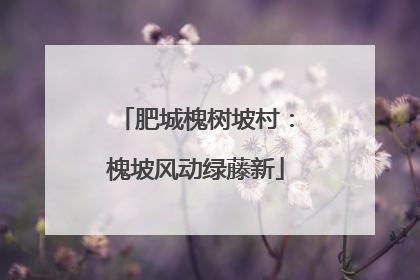 肥城槐树坡村：槐坡风动绿藤新
