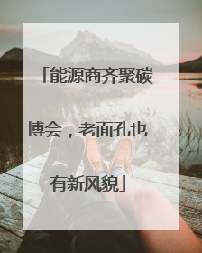 能源商齐聚碳博会，老面孔也有新风貌