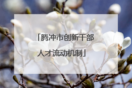 腾冲市创新干部人才流动机制