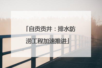 自贡贡井：排水防涝工程加速推进