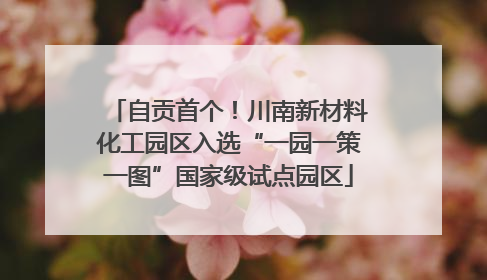 自贡首个！川南新材料化工园区入选“一园一策一图”国家级试点园区