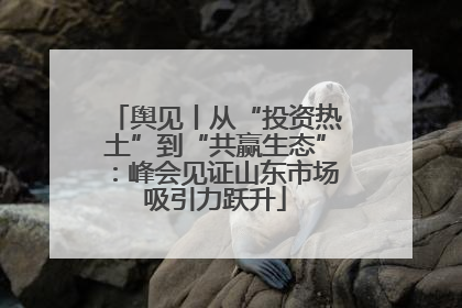 舆见丨从“投资热土”到“共赢生态”：峰会见证山东市场吸引力跃升