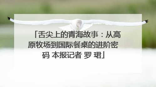 舌尖上的青海故事：从高原牧场到国际餐桌的进阶密码 本报记者 罗 珺
