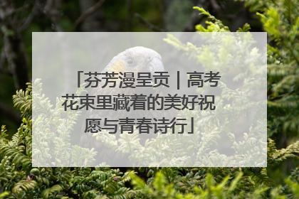 芬芳漫呈贡｜高考花束里藏着的美好祝愿与青春诗行