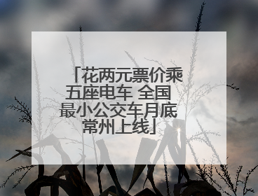 花两元票价乘五座电车 全国最小公交车月底常州上线