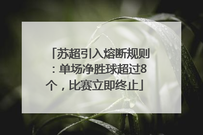 苏超引入熔断规则：单场净胜球超过8个，比赛立即终止