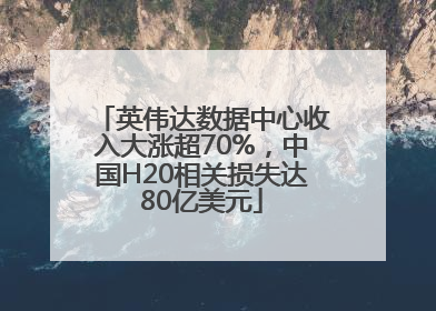 英伟达数据中心收入大涨超70%，中国H20相关损失达80亿美元