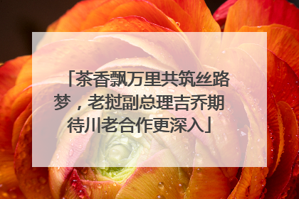 茶香飘万里共筑丝路梦，老挝副总理吉乔期待川老合作更深入
