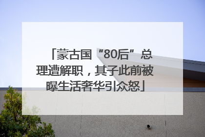 蒙古国“80后”总理遭解职，其子此前被曝生活奢华引众怒