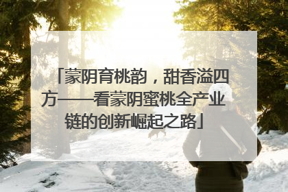 蒙阴育桃韵，甜香溢四方——看蒙阴蜜桃全产业链的创新崛起之路
