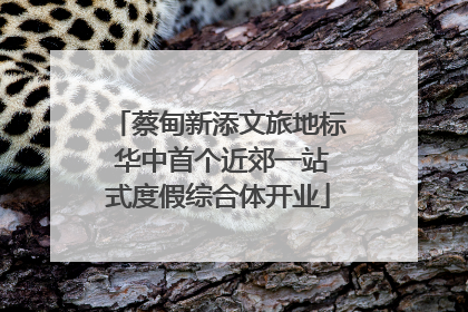 蔡甸新添文旅地标 华中首个近郊一站式度假综合体开业