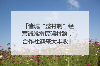 诸城“整村制”经营铺就富民强村路，合作社迎来大丰收