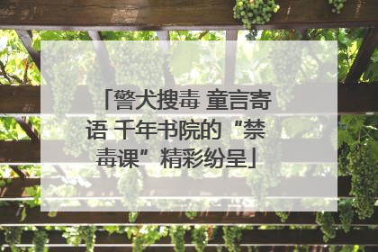 警犬搜毒 童言寄语 千年书院的“禁毒课”精彩纷呈