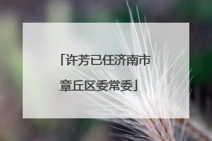 许芳已任济南市章丘区委常委