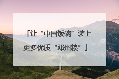 让“中国饭碗”装上更多优质“邓州粮”