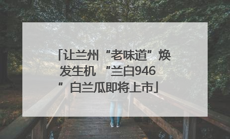 让兰州“老味道”焕发生机 “兰白946”白兰瓜即将上市