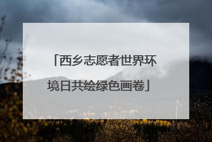 西乡志愿者世界环境日共绘绿色画卷