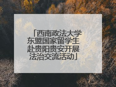 西南政法大学东盟国家留学生赴贵阳贵安开展法治交流活动