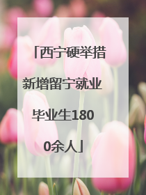 西宁硬举措新增留宁就业毕业生1800余人